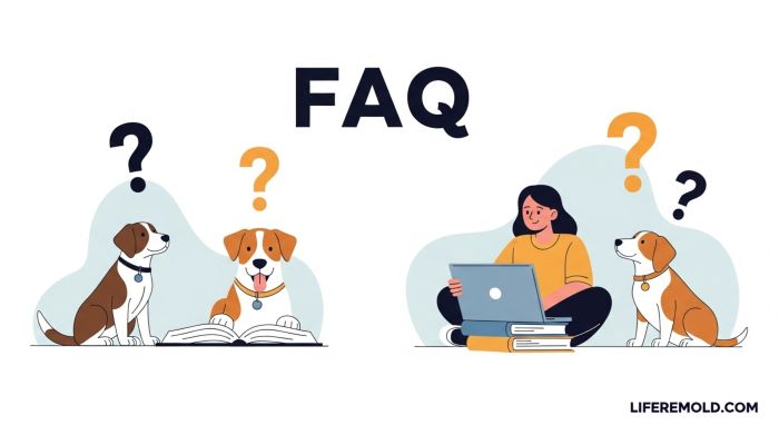 FAQ about best dog breeds, hypoallergenic breeds, and loyal family dogs
