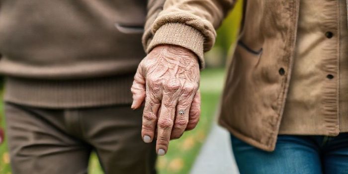 Close-up of an elderly couple's wrinkled hands holding each other tightly while walking.