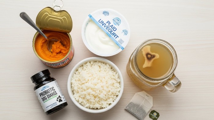 Natural home remedies showing how to stop diarrhea fast in dogs